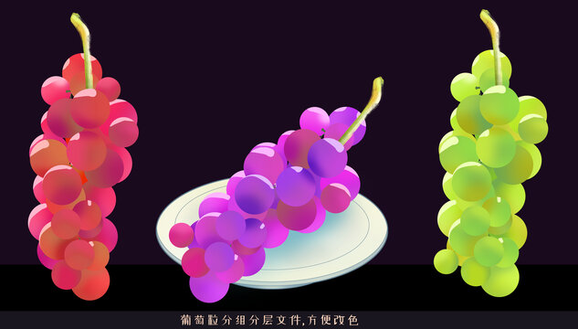 手繪葡萄插畫