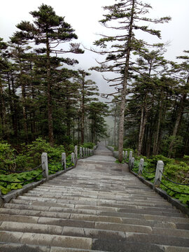 登山步道