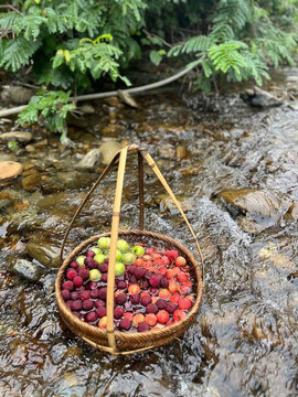 山泉水果