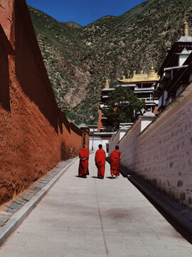 西藏喇叭