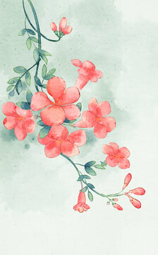 古風(fēng)凌霄花