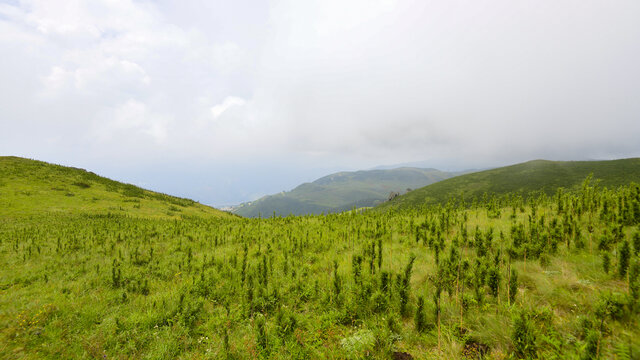 寻甸县花石头山昆明十峰