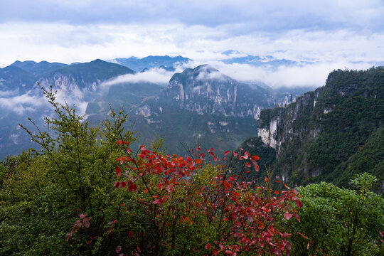 重庆云阳龙岗景区