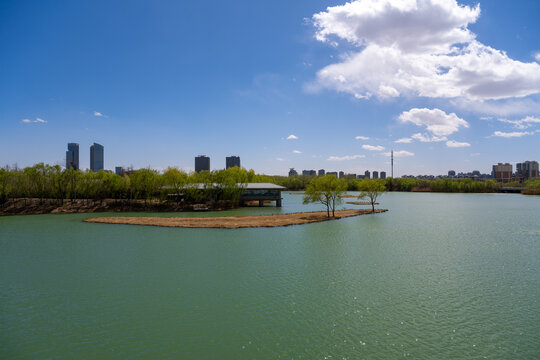 銀川市陳家湖公園