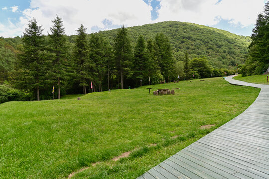六盤山國家森林公園
