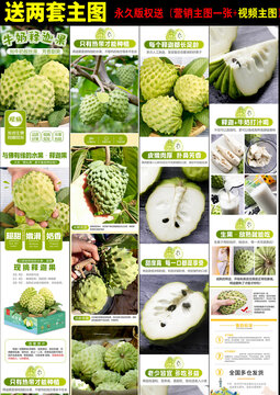 釋迦詳情