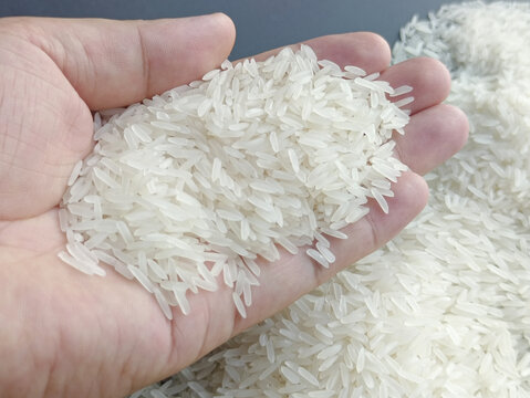 长粒米成熟