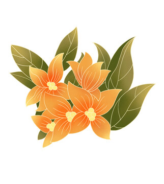 中國風(fēng)國潮中式花卉插畫