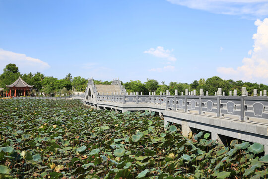 东坡桥