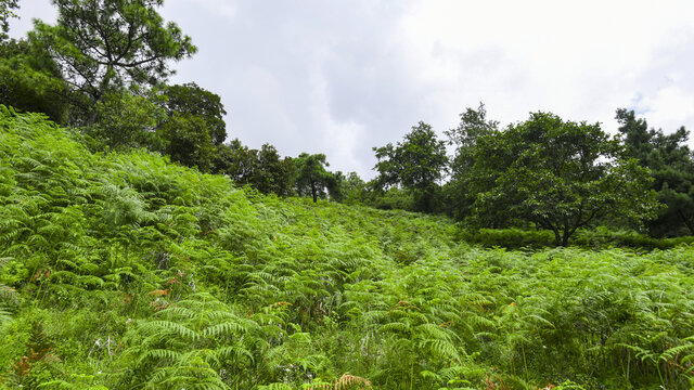 嵩明大尖山