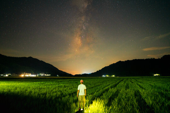 夏天稻田星空银河美丽风光