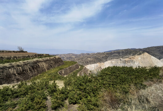 黄土高坡