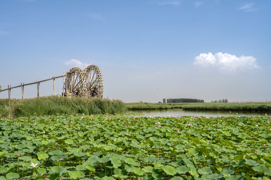 鸣翠湖国家湿地公园