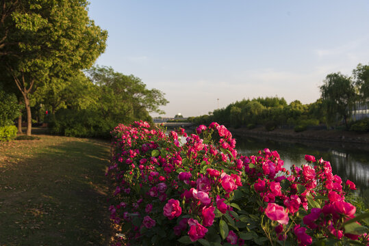 城市河景