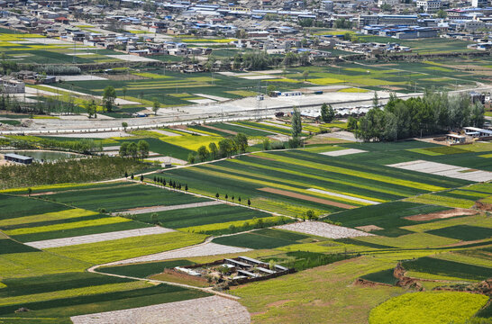 武山田园