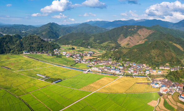 航拍农村山村生态农业稻田景象