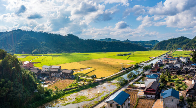 航拍农村山村生态农业稻田