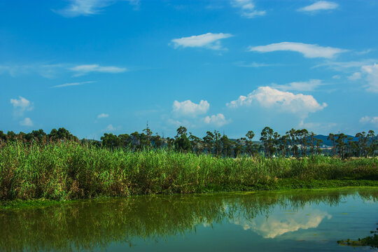 昆明滇池国家湿地公园