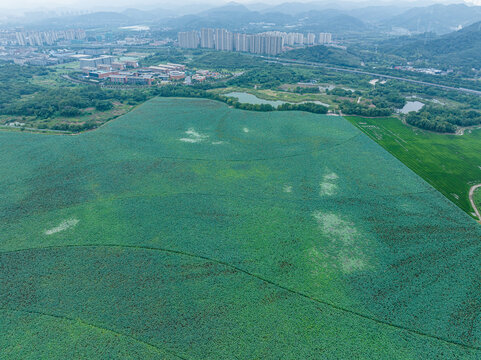 余杭南湖