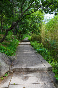 山林小道