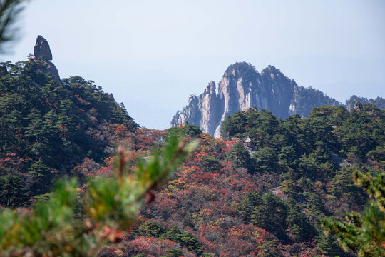 安徽黄山风景区