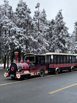 仙女山雪景