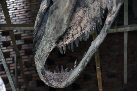 博物馆伪恐龙化石