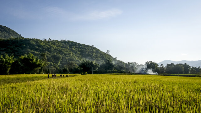 耿馬風(fēng)光