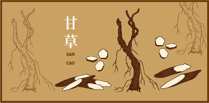 甘草素材插畫