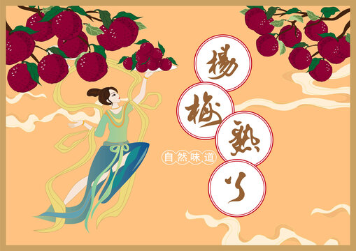 楊梅包裝