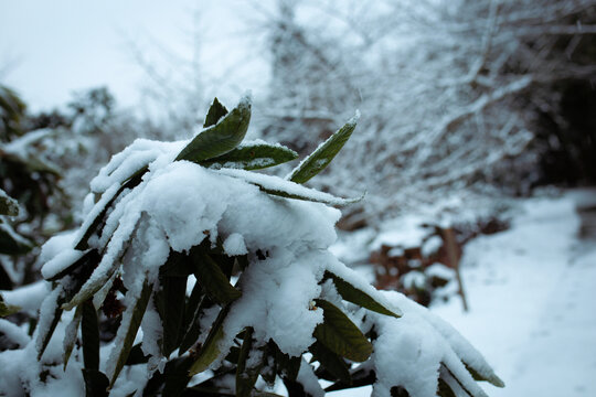 太湖冬雪