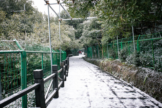 树山村