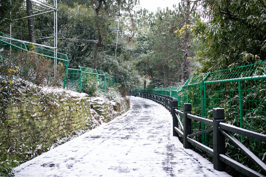 树山村