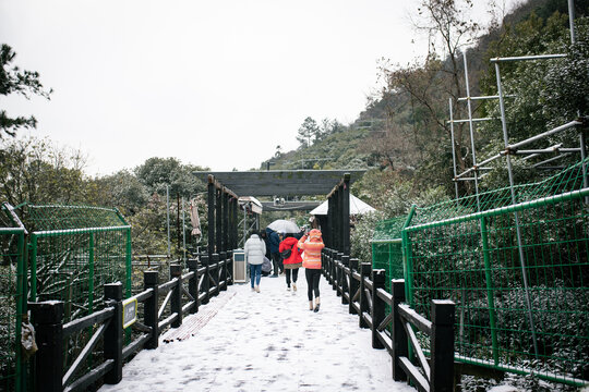 树山村雪