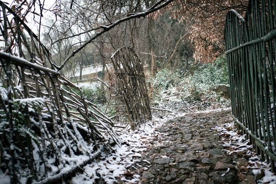 树山村