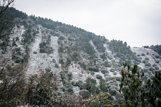 苏州树山村