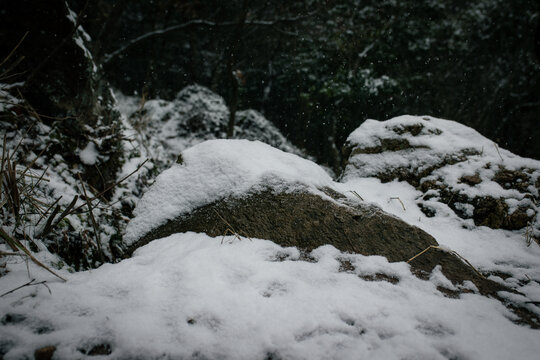 山林雪景