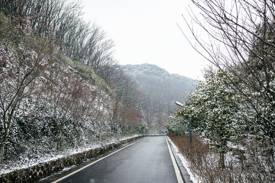 大阳山森林公园