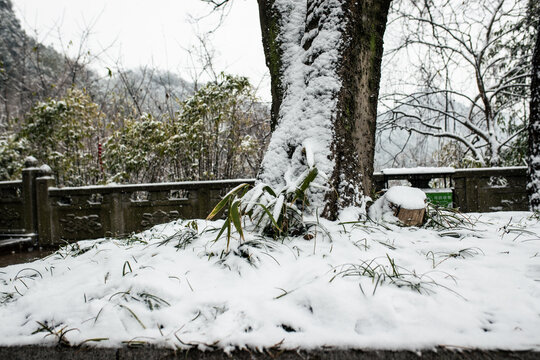 雪后山景