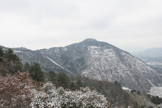 山雪