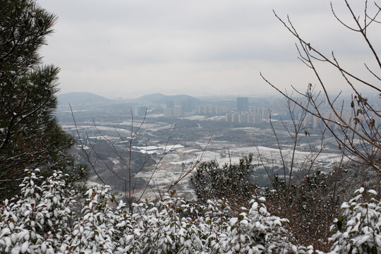 大阳山雪景