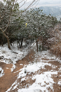 大阳山雪景