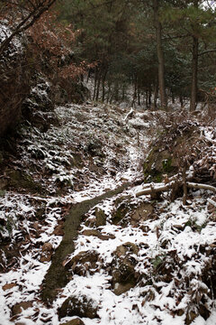 下雪的山路