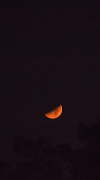 秋分实景橙色月亮