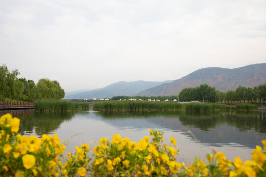 西宁北川河湿地公园