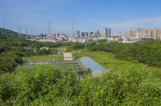 都市田园风光