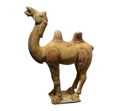 唐代彩绘骆驼