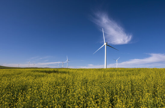 草原风力发电绿色能源