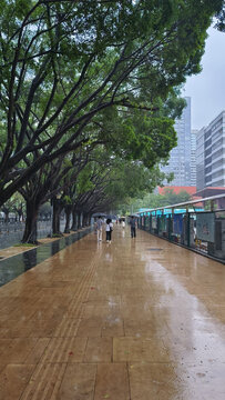 下雨天的人行道