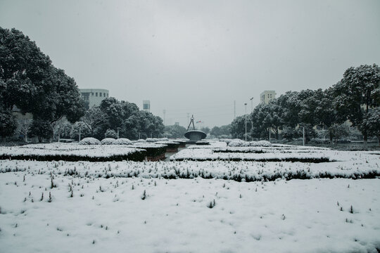 校园入口的雪景